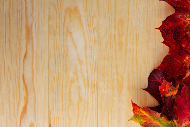 Punainen ja oranssi syksyn lehdet puinen tausta, jossa kopio tilaa
 - Valokuva, kuva