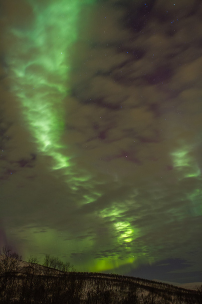 Aurora Borealis - Fotoğraf, Görsel