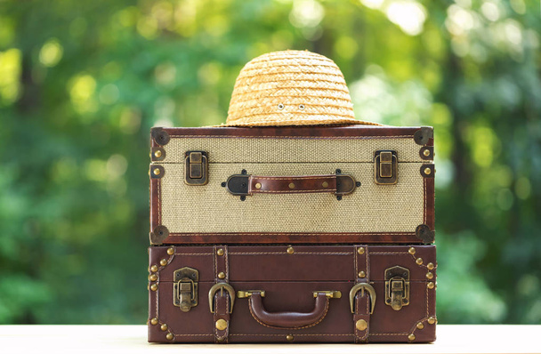 Two pieces of luggage on forest background - Foto, Imagen