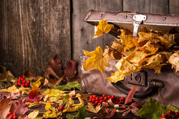 Ρετρό βαλίτσα με φθινοπωρινά φύλλα σε φόντο ξύλινη - Φωτογραφία, εικόνα