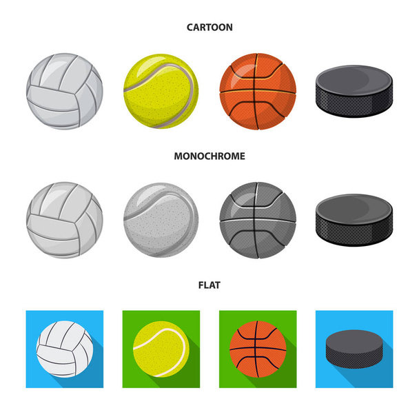 Vector illustration of sport and ball icon. Set of sport and athletic stock symbol for web. - Vector, Image