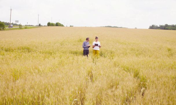 Due scienziati ecologisti nel campo del grano
 - Foto, immagini
