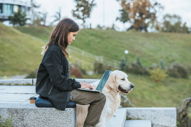 молода жінка працює з ноутбуком, сидячи з собакою в парку
 - Фото, зображення