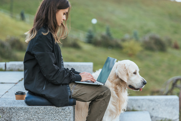 вид збоку фрілансера, використовуючи ноутбук, сидячи з собакою в парку
 - Фото, зображення