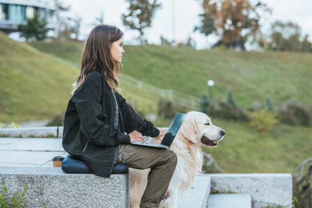 freelancer okşayarak köpek ve parkta dizüstü kullanarak yan görünüm - Fotoğraf, Görsel