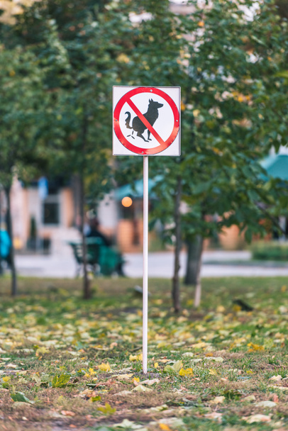 No hay letrero de caca de perro en el césped en otoño parque
 - Foto, Imagen