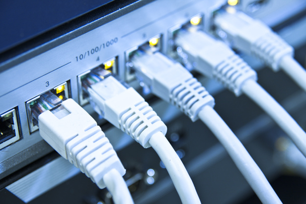 cabos de rede conectados ao switch - Foto, Imagem