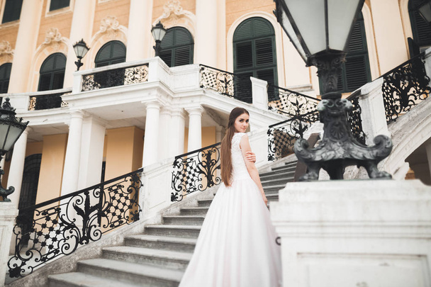 Beautiful luxury bride in elegant white dress - Foto, Imagen
