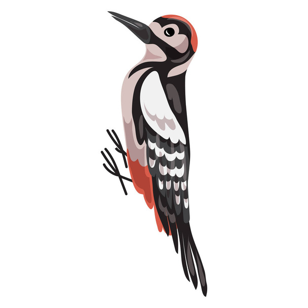 Woodpecker icon, cartoon style - Vetor, Imagem