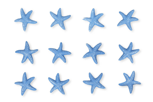 twelve blue starfish on white for backgrounds - Photo, Image
