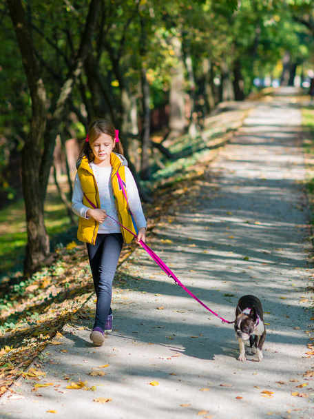 Klein meisje in een herfst park met boston terrier hond spelen. Vrije tijd concept - Foto, afbeelding