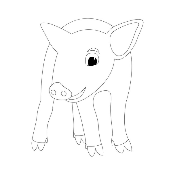 pig vector illustration   lining draw  front  - Vector, Image