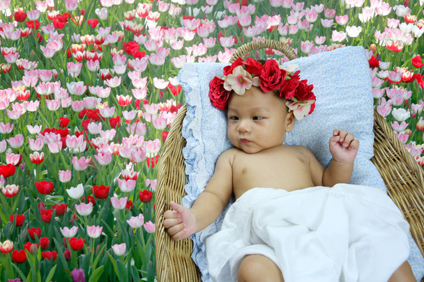 Asiatique bébé veulent dormir dans des paniers en osier sur tulipes jardin de fleurs
. - Photo, image