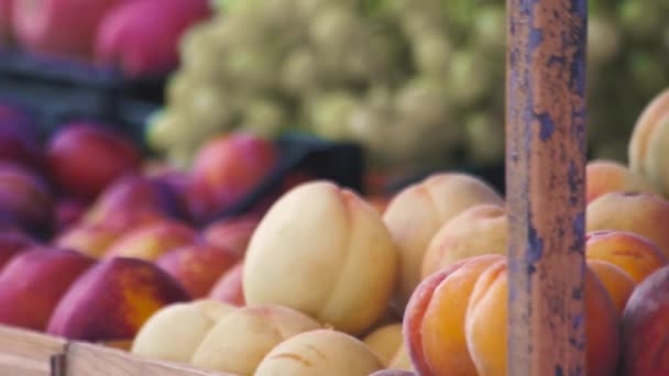 Owoców i warzyw na rynku świeżych warzyw na ladzie w sklepie. Spontaniczne rynku na ulicy w mieście - Materiał filmowy, wideo