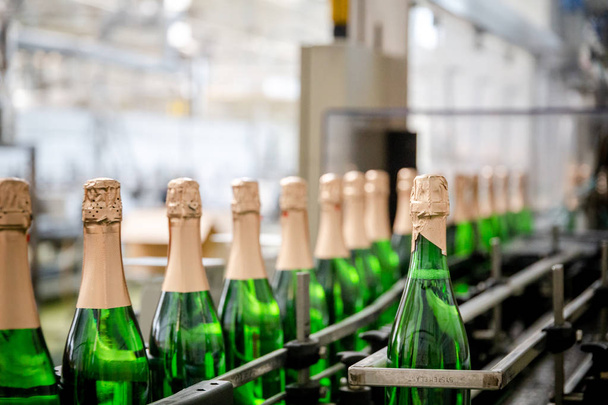 bottles with champagne wine are moving along the conveyor at the factory of grape and sparkling wine - Fotografie, Obrázek
