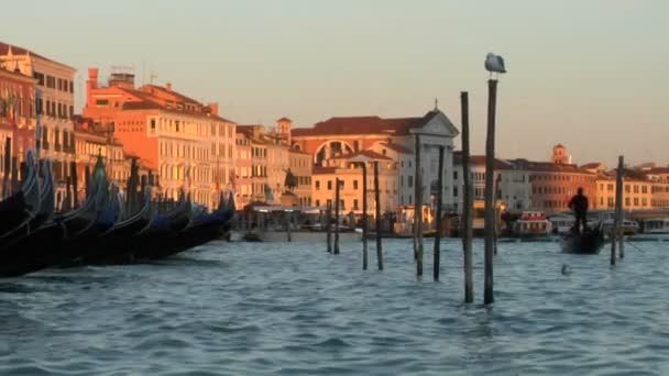 γόνδολες της Βενετίας - Πλάνα, βίντεο