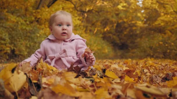 Bebé niña se sienta en hojas de otoño
 - Imágenes, Vídeo