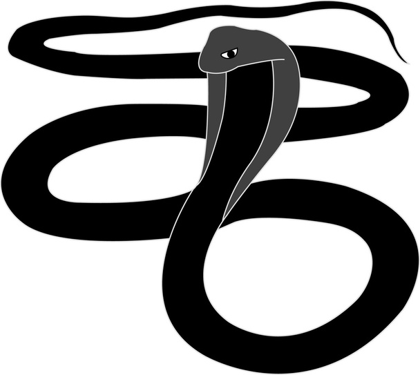 εικονογράφηση Cobra - Διάνυσμα, εικόνα