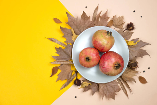 Creative Autumn layout. Plate with pomegranates on dried leaves, chestnuts and other elements on yellow and ocher background. Flat lay top view. Copy space. - 写真・画像