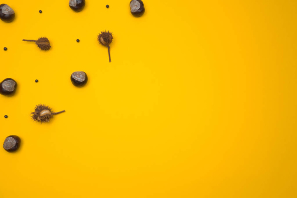 Creative and minimal autumn layout made of chestnuts and seeds. Yellow background. Flat lay top view. Copy space. Border arrangement. - Fotó, kép