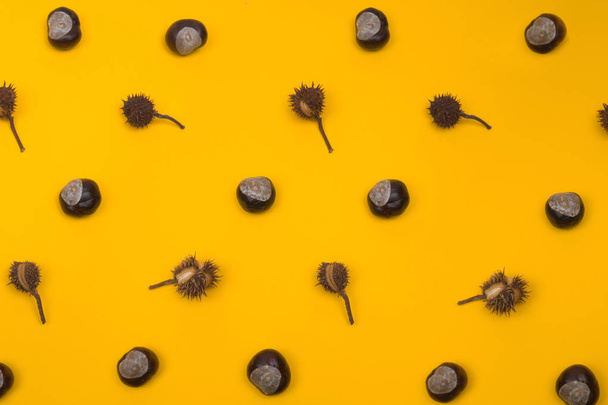 Creative and minimal autumn pattern made of chestnuts and seeds. Yellow background. Flat lay top view.  - Photo, Image