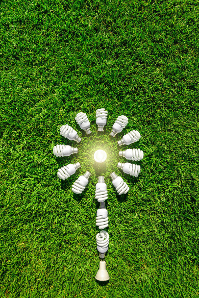 Żarówki energooszczędne na trawie, tworząc kwiat. Zielony źródło energii koncepcji - Zdjęcie, obraz