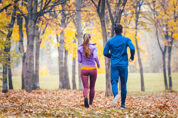 Couple jogging in colorful foliage, seen from behind - Φωτογραφία, εικόνα