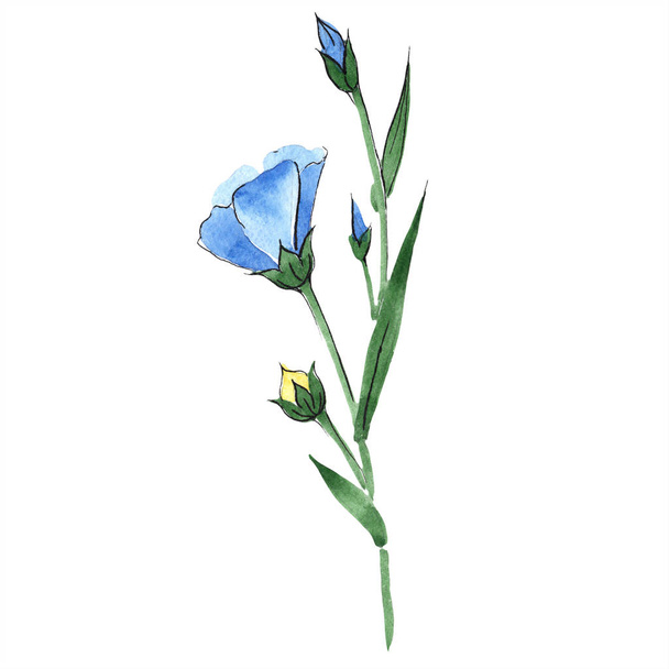 水彩の青い亜麻の花。花植物の花。孤立した図の要素。背景、テクスチャ、ラッパー パターン、フレームや境界線の aquarelle ワイルドフラワー. - 写真・画像