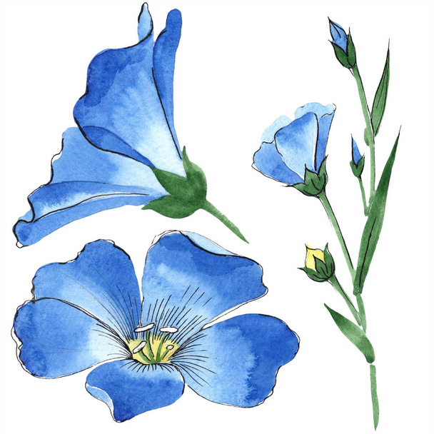 Aquarel blauwe vlas bloem. Floral botanische bloem. Geïsoleerde illustratie element. Aquarelle wildflower voor achtergrond, textuur, wrapper patroon, frame of rand. - Foto, afbeelding