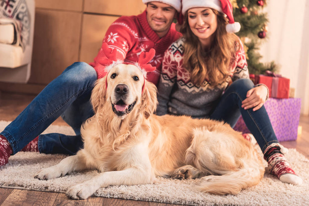 happy couple in santa hats sitting at christmas tree with dog in deer horns - Photo, Image
