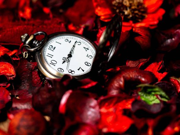 Orologio da tasca vintage dorato messo su un tavolo di legno con fiori rossi secchi con aroma
 - Foto, immagini