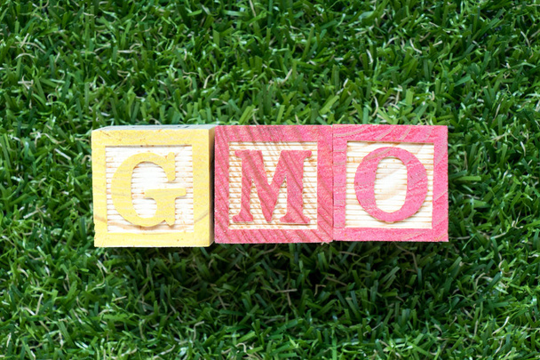Kolor drewna bloku w programie word Gmo (skrót od organizmów genetycznie zmodyfikowanych) na tle Sztuczna trawa zielony - Zdjęcie, obraz