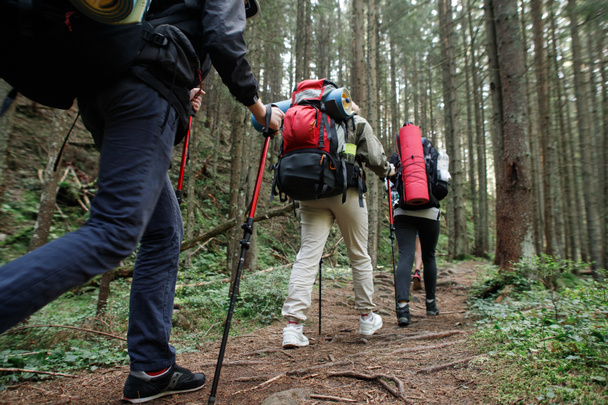 Grupo de Amigos de excursionistas subiendo por el arroyo del bosque de montaña, superando obstáculos
 - Foto, Imagen