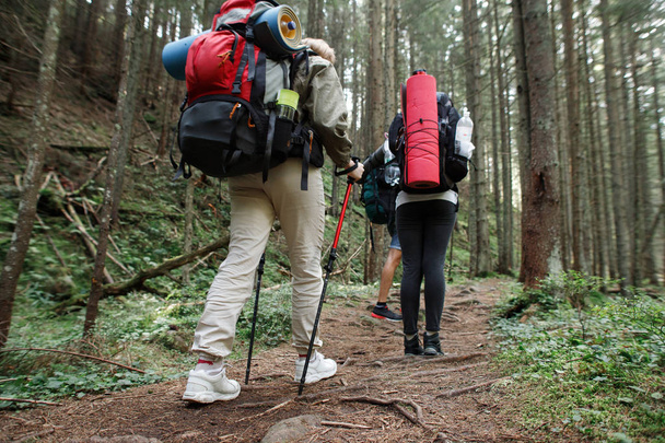 Grupo de Amigos de caminhantes subindo o córrego de madeira de montanha, superando obstáculos
 - Foto, Imagem