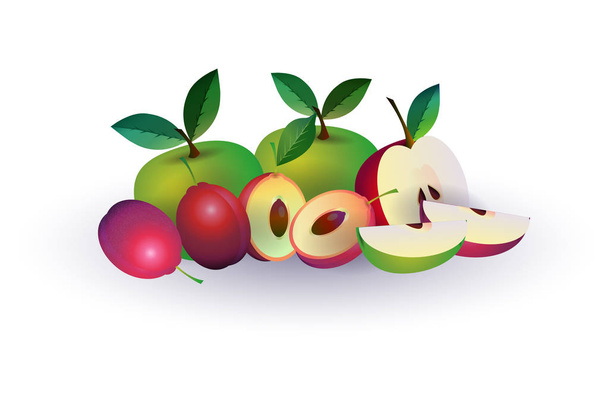 plum apple fruit on white background, healthy lifestyle or diet concept, logo for fresh fruits - Vetor, Imagem