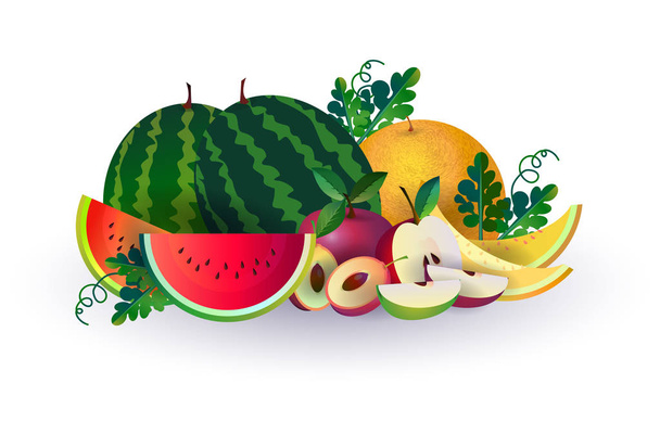watermelon melon apple fruits on white background, healthy lifestyle or diet concept, logo for fresh fruits - Vektor, Bild