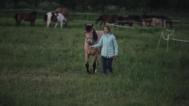 Güzel bir kadın bir at açık havada yol açar. Atlar arka planda sürüsü - Video, Çekim