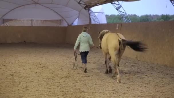 Takana näkymä naispuolinen ratsastaja kävelee hänen hevonen tilalla
 - Materiaali, video