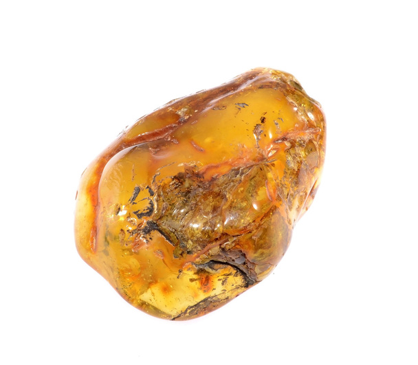 amber from coast of the Baltic sea - Photo, Image