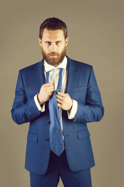 businessman or bearded man in formal jacket, tie - Valokuva, kuva