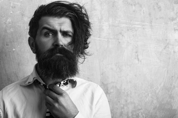 hipster man with long beard in shirt and tie - Photo, image
