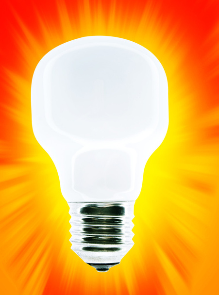 White bulb - Fotó, kép