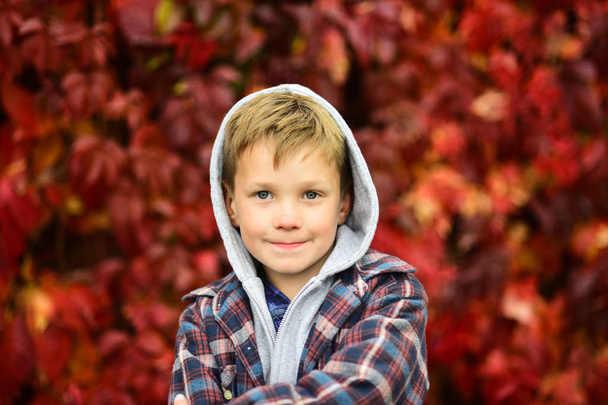 Autumn is time for back to school. Little schoolboy. Little child enjoy autumn season. Adorable child on autumn landscape. Hello autumn - Photo, Image