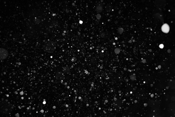 close up textura de fundo de flocos de neve durante uma queda de neve em um fundo preto
 - Foto, Imagem
