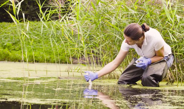 Mujer ecologista midiendo pH del agua
 - Foto, Imagen