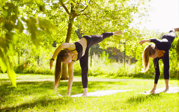 Yoga. zwei attraktive Frauen bei Yoga-Übungen im Park - Foto, Bild