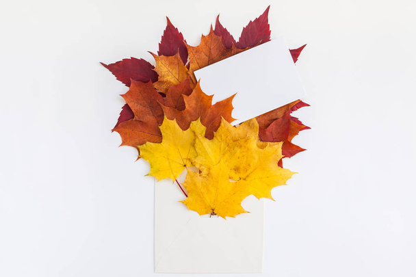 Kreatív Top view lakás feküdt őszi koncepció összetétele. Boríték szárított világos őszi levelek fehér háttérben másolatot papírtérben. Modell akár őszi Hálaadás esküvői évforduló meghívók sablon - Fotó, kép