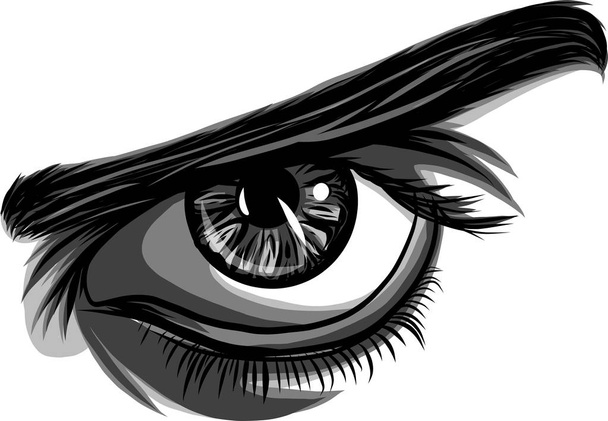 un vector de un ojo hombre
 - Vector, Imagen