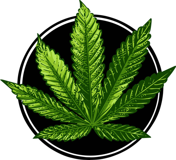 Cannabis sign illustration. Vector. Dark green icon - Vector, Image