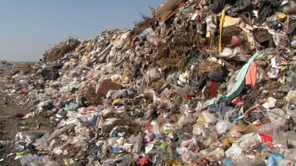 Szemetet a hulladéklerakó - Felvétel, videó